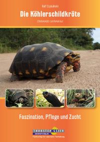 &quot;Die K&ouml;hlerschildkr&ouml;te - Faszination, Pflege und Zucht&quot;