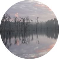 Pfingstsee (Elsbachsee) im Nebel